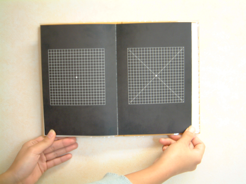 アムスラーチャート